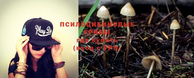 даркнет сайт  Новое Девяткино  Галлюциногенные грибы MAGIC MUSHROOMS 